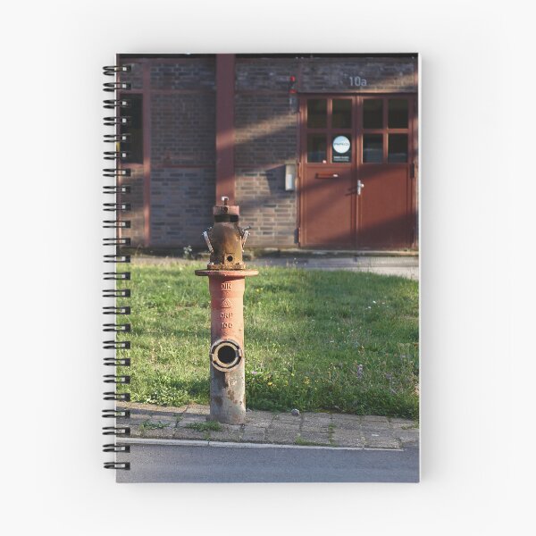 Item preview, Urbex Photography | Hydrant in the play of light designed and sold by Cora Wirth.