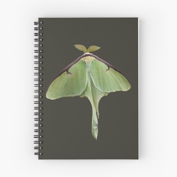 Item preview, Luna Moth designed and sold by RainbowSpinkle.