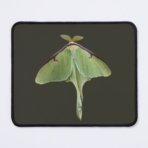Item preview, Luna Moth designed and sold by RainbowSpinkle.