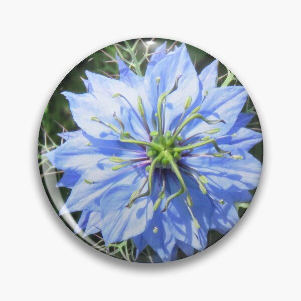 Item preview, Love in a Mist  designed and sold by Anrine Scholtz.