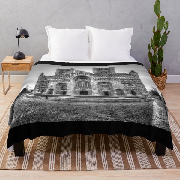 Item preview, Lincoln Cathedral Panorama, Black And White designed and sold by Paul Thompson Photography.