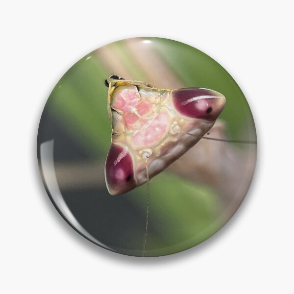 Item preview, Praying Mantis portrait designed and sold by Reptillery.