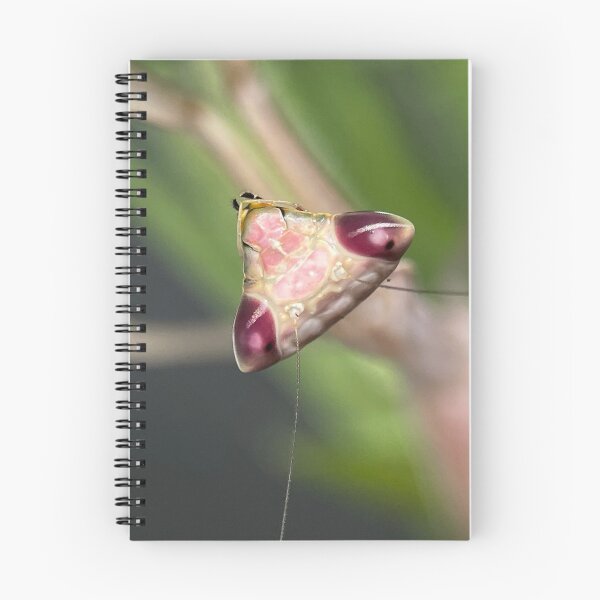 Item preview, Praying Mantis portrait designed and sold by Reptillery.