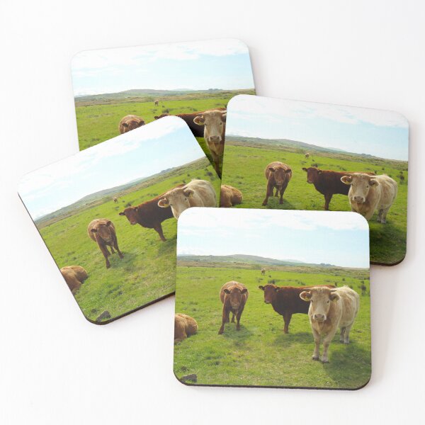 Item preview, Cows looking at camera county Mayo Ireland designed and sold by eddiebarronshop.