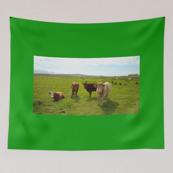 Item preview, Cows looking at camera county Mayo Ireland designed and sold by eddiebarronshop.