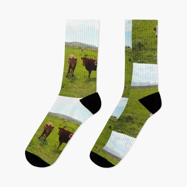 Item preview, Cows looking at camera county Mayo Ireland designed and sold by eddiebarronshop.