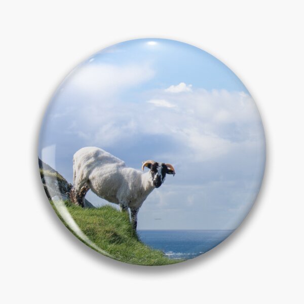 Item preview, The Great Blasket Sheep, Dingle, Ireland  designed and sold by Camille Bouchard.