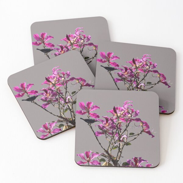 Item preview, Purple Orchid/Bauhinia blooms designed and sold by VeenaNair23.