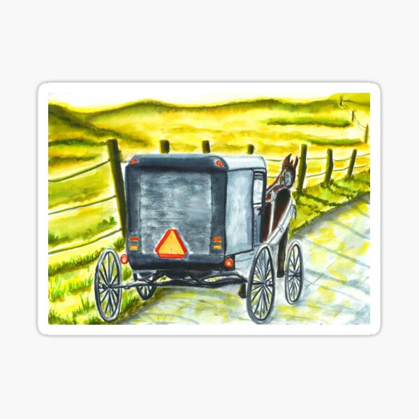 I'm Looking For A Shop That Can Repair An Amish Buggy Bag - Open