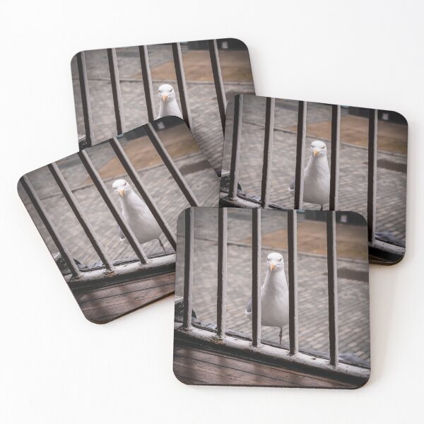 Item preview, Angry Pigeon Wall Art Photograph designed and sold by HNRYdesign.