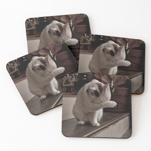 Item preview, cat cleans her face designed and sold by WorldOfPhoto.