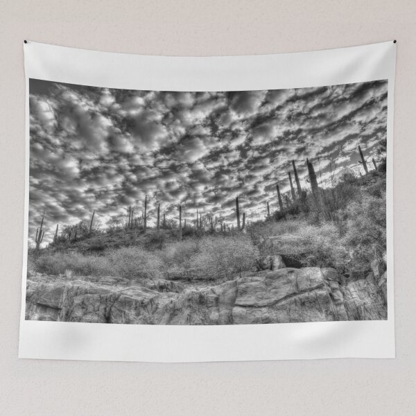 Item preview, Desert Drama 2 designed and sold by GeorgeBuxbaum.