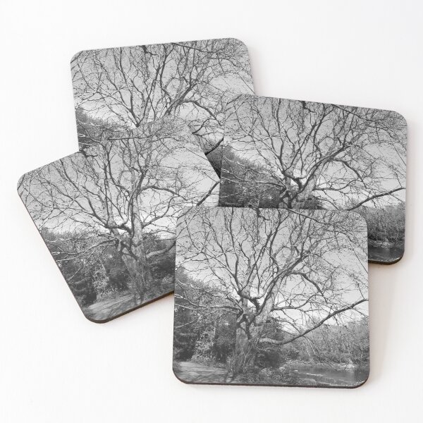 Item preview, Tree shadows on the trail Buncrana black and white designed and sold by eddiebarronshop.