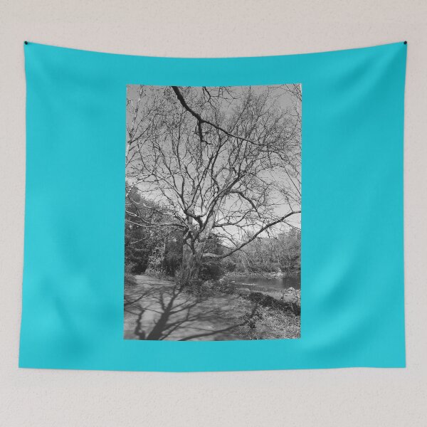 Item preview, Tree shadows on the trail Buncrana black and white designed and sold by eddiebarronshop.