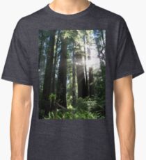 Redwood National Park Classic T-Shirt