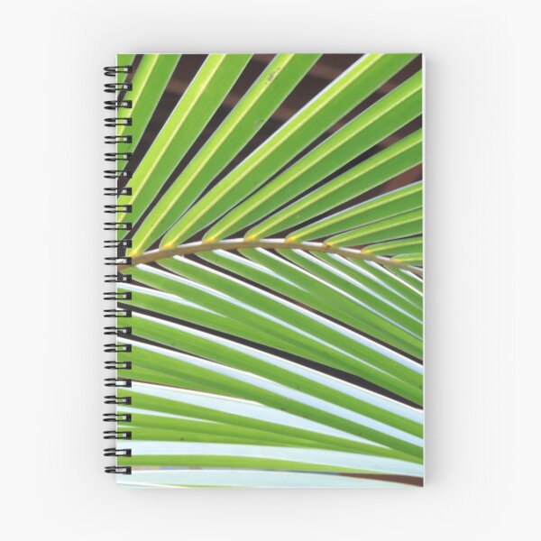 Item preview, Coconut palm fronds designed and sold by Jmb67.