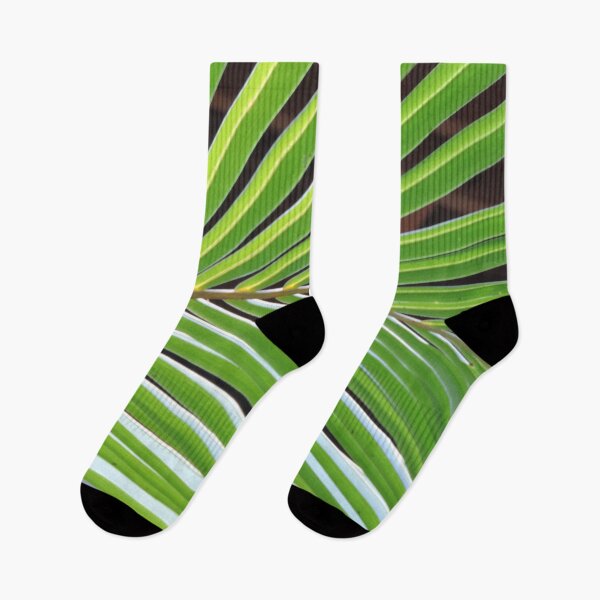 Item preview, Coconut palm fronds designed and sold by Jmb67.