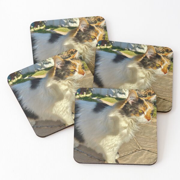 Item preview, beautiful cat designed and sold by WorldOfPhoto.