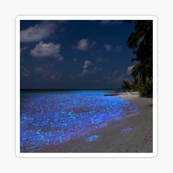 Blue beach bioluminescence nature beauty Sticker