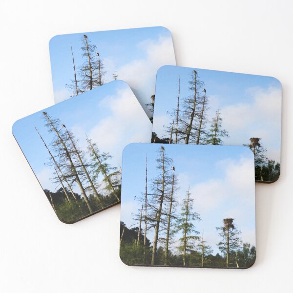 Item preview, Eagles on the Lake designed and sold by trailsitravel.