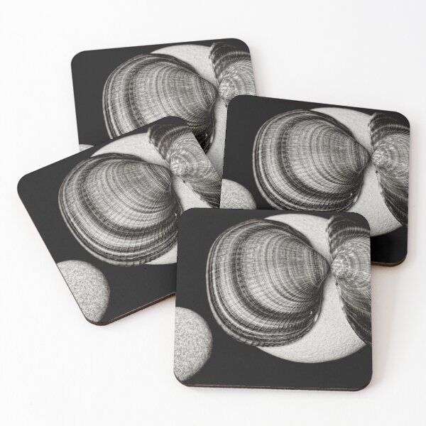 Item preview, Relative Encirclement; pebble and shell still-life macro designed and sold by AndrewJonesFoto.