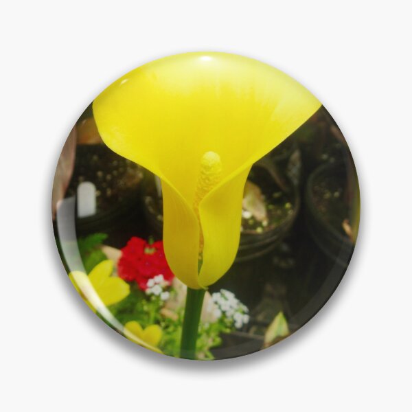 Item preview, Calla Lily designed and sold by Shulie1.