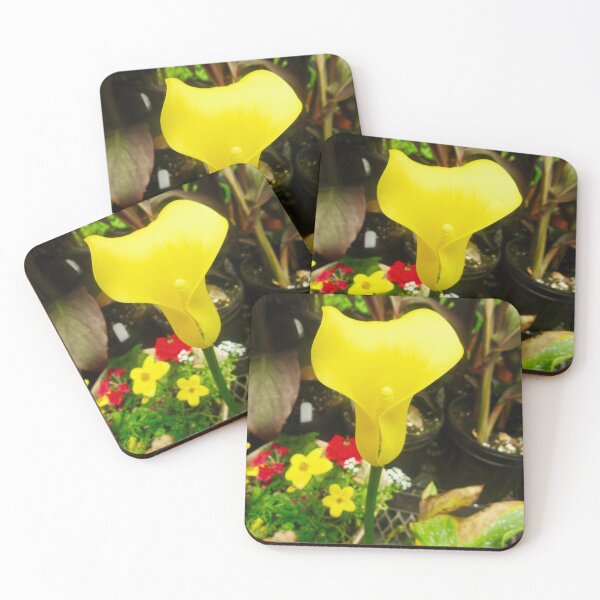Item preview, Calla Lily designed and sold by Shulie1.