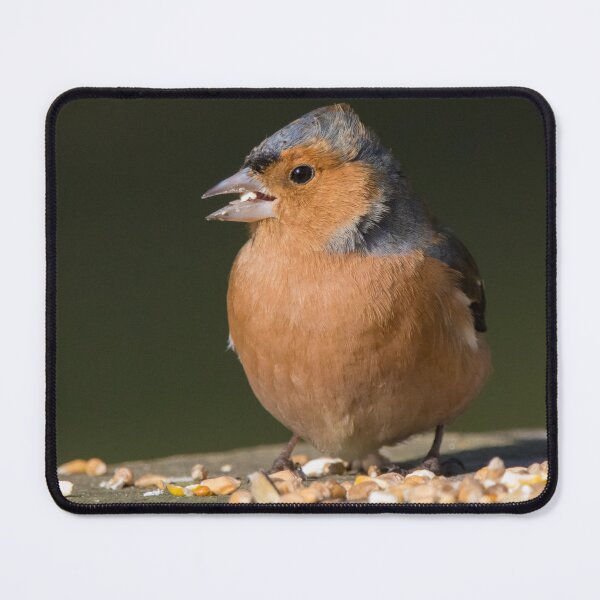 Item preview, Chaffinch designed and sold by LaurenTucker.