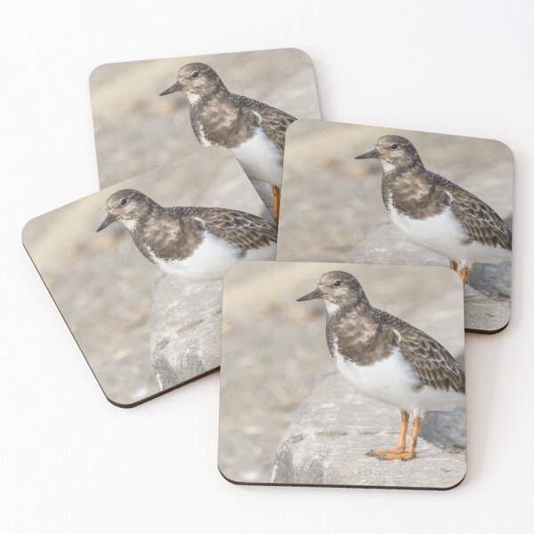 Item preview, Turnstone designed and sold by LaurenTucker.