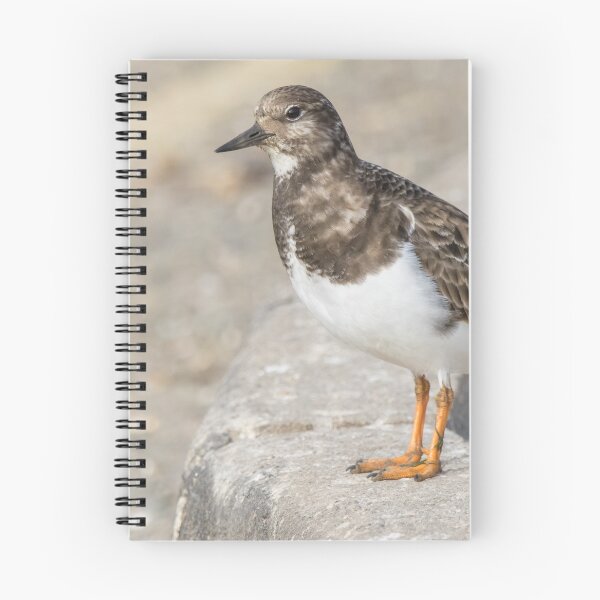 Item preview, Turnstone designed and sold by LaurenTucker.