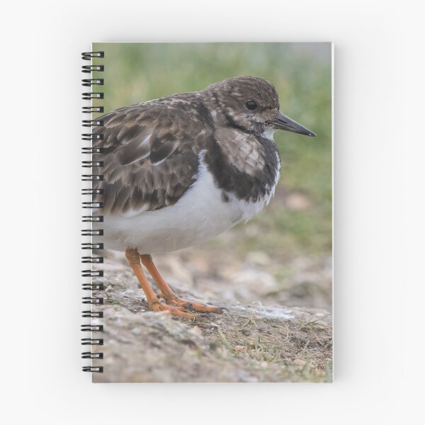 Item preview, Turnstone designed and sold by LaurenTucker.