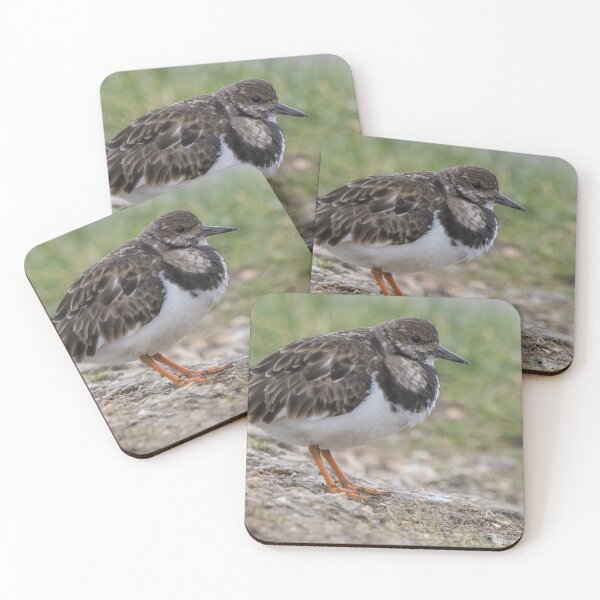 Item preview, Turnstone designed and sold by LaurenTucker.