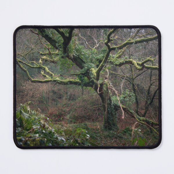 Item preview, VELVET designed and sold by Andrew Hocking.