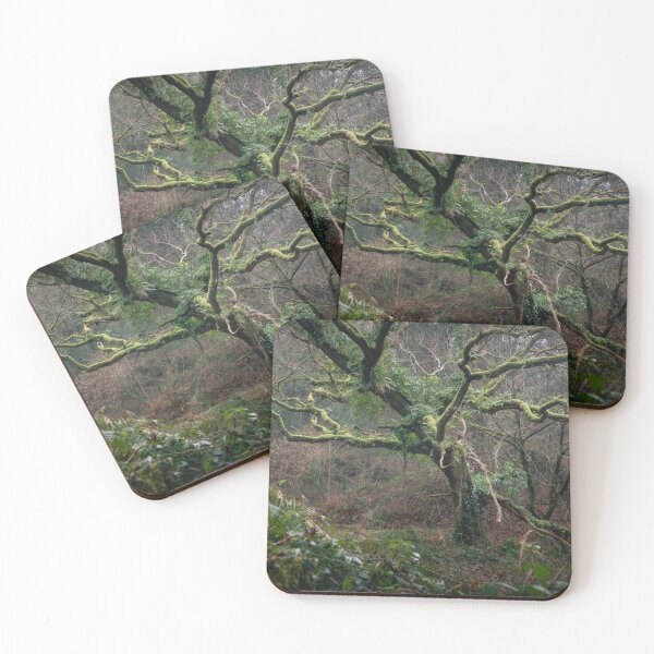 Item preview, VELVET designed and sold by Andrew Hocking.