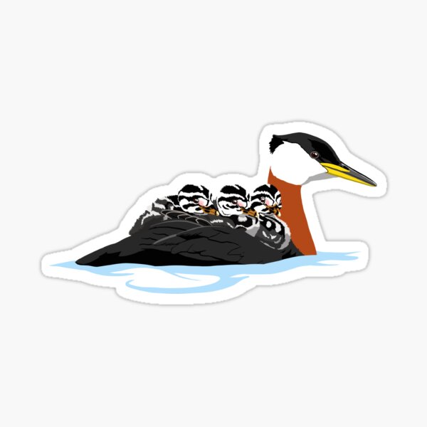 Red-necked Grebe with Chicks Sticker
