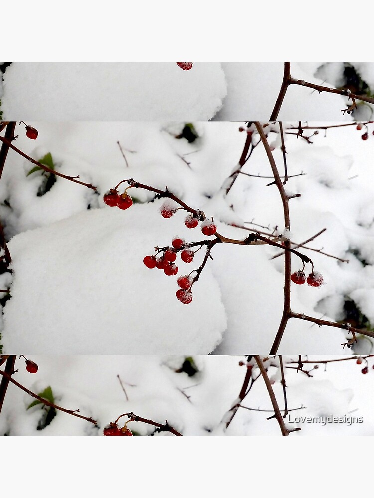 Xmas design by Lovemydesigns