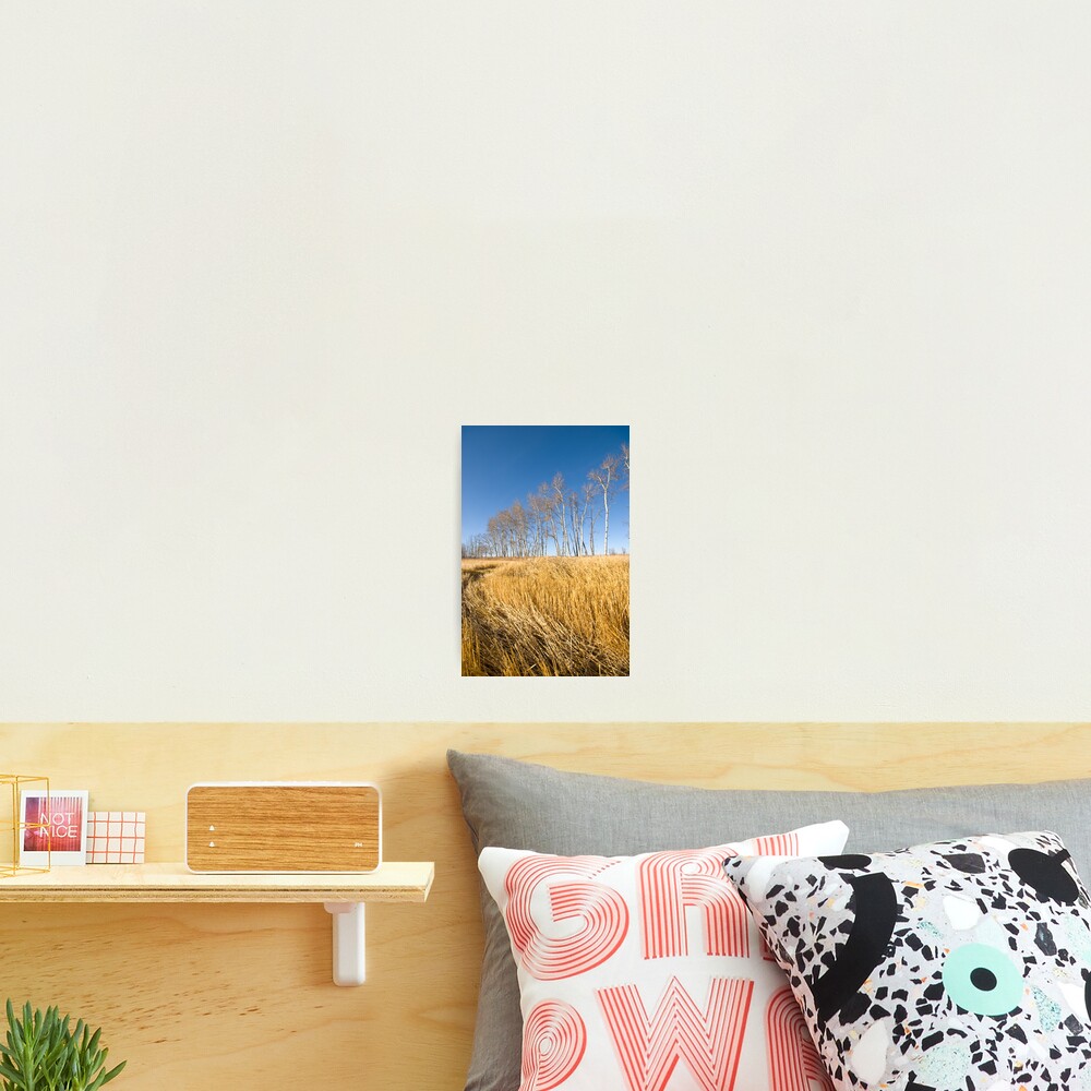 Item preview, Photographic Print designed and sold by levdir.
