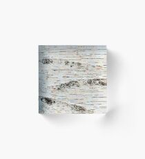 Birch Colors Acrylic Block