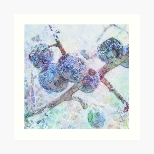 Vibrant Frost 1 Art Print