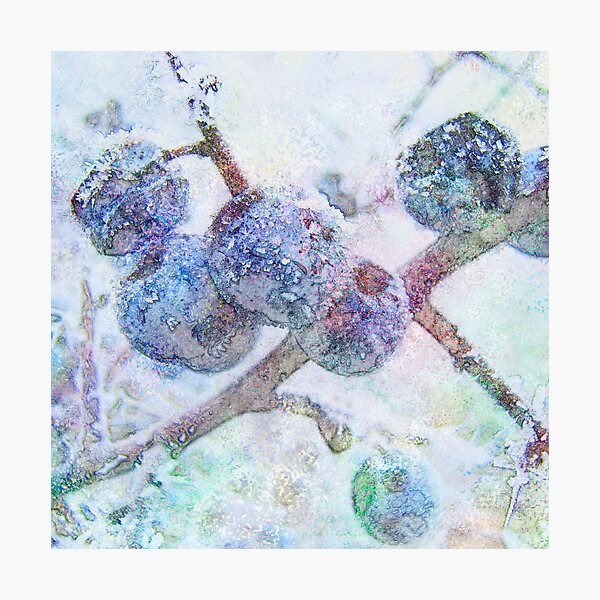 Vibrant Frost 1 Photographic Print