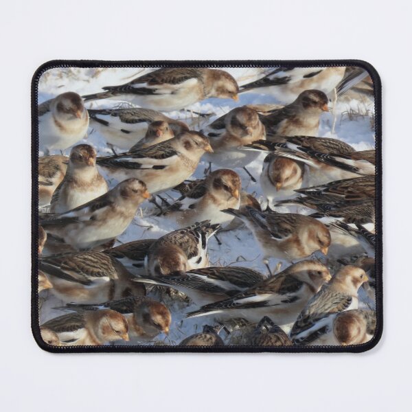 Item preview,  Snow bunting winter fest 1 designed and sold by Vidarleikur.