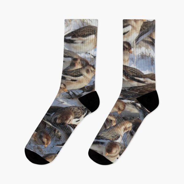 Item preview,  Snow bunting winter fest 1 designed and sold by Vidarleikur.