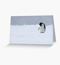 Solo Penguin 2 Greeting Card