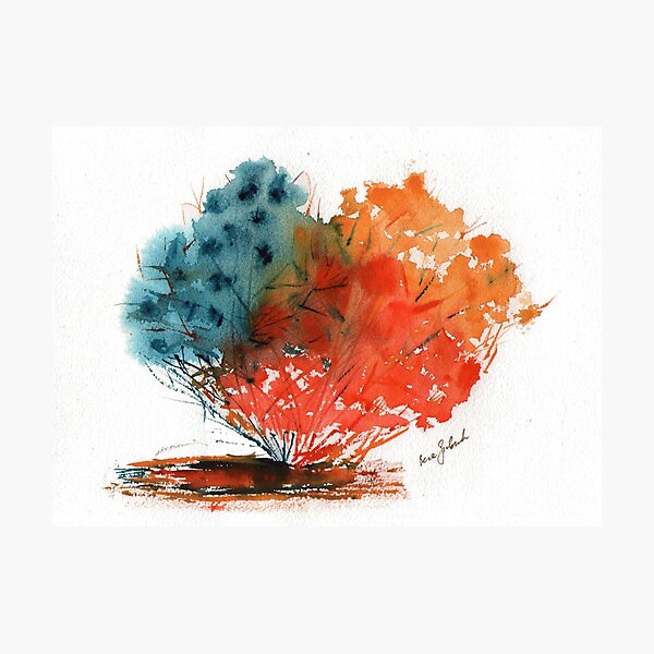 Item preview, Tri-color designed and sold by Bepa.