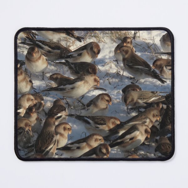 Item preview, Snow bunting winter fest 3 designed and sold by Vidarleikur.
