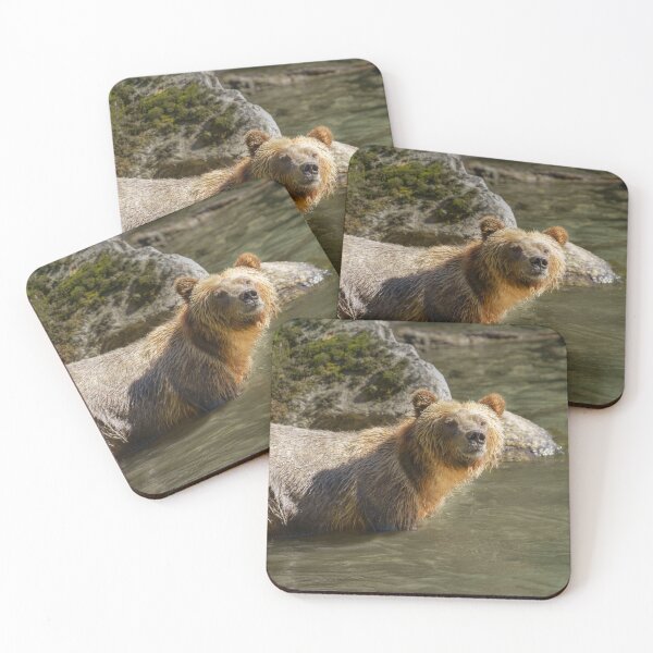Item preview, Wild Grizzly Bear At The Orford River designed and sold by rawshutterbug.