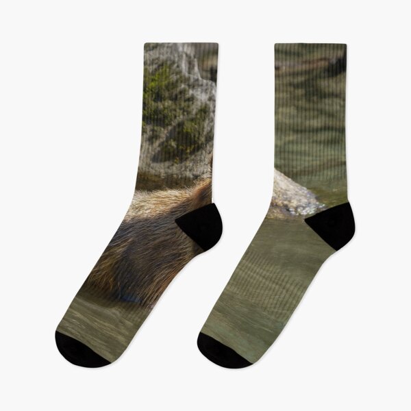 Item preview, Wild Grizzly Bear At The Orford River designed and sold by rawshutterbug.