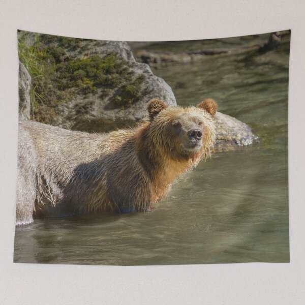 Item preview, Wild Grizzly Bear At The Orford River designed and sold by rawshutterbug.
