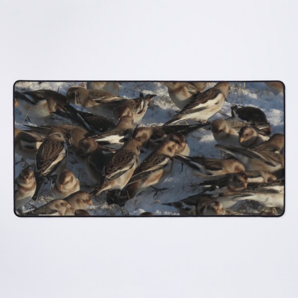 Item preview, Snow bunting winter fest 4 designed and sold by Vidarleikur.