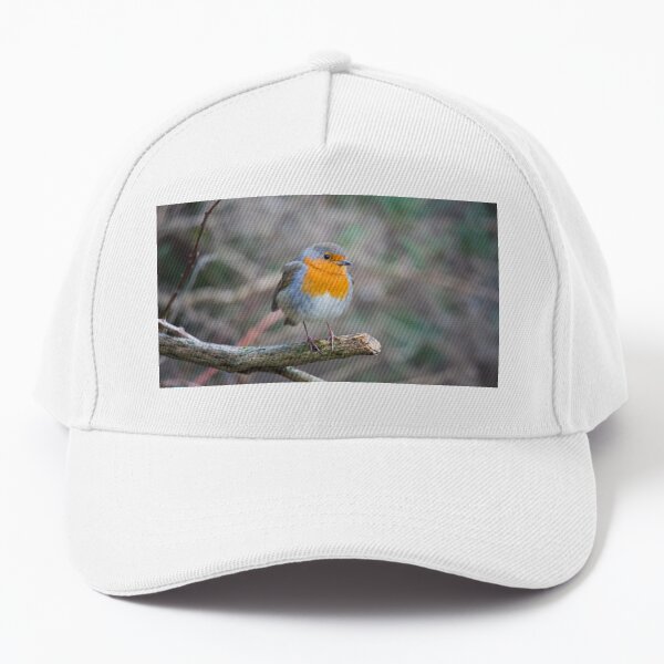 Red Robin in Winter Baseball Cap